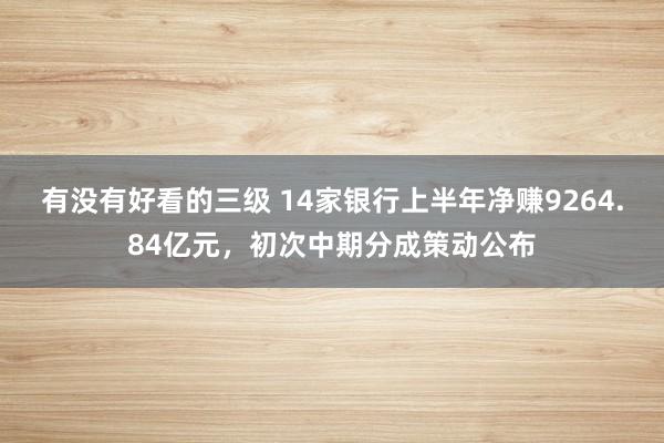 有没有好看的三级 14家银行上半年净赚9264.84亿元，初次中期分成策动公布