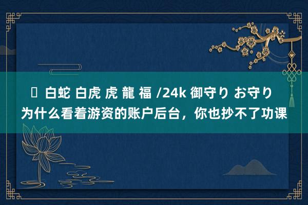 ✨白蛇 白虎 虎 龍 福 /24k 御守り お守り 为什么看着游资的账户后台，你也抄不了功课