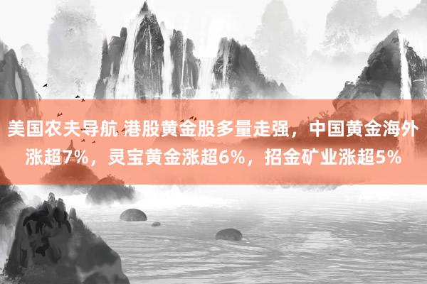 美国农夫导航 港股黄金股多量走强，中国黄金海外涨超7%，灵宝黄金涨超6%，招金矿业涨超5%