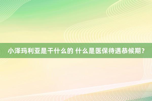 小泽玛利亚是干什么的 什么是医保待遇恭候期？