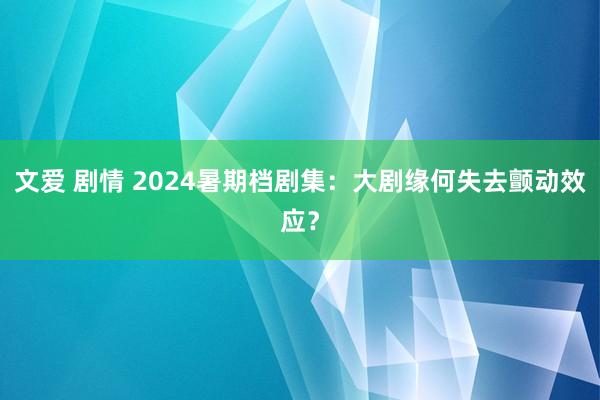 文爱 剧情 2024暑期档剧集：大剧缘何失去颤动效应？