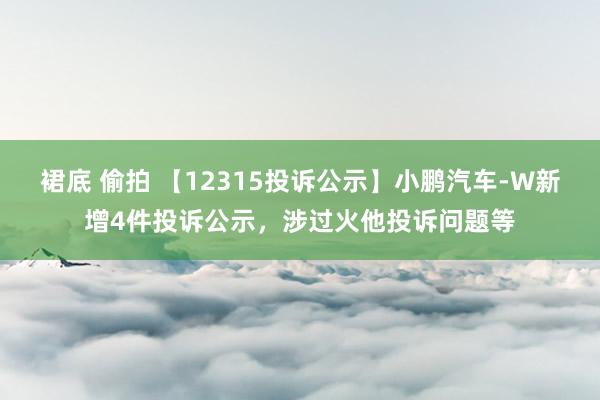 裙底 偷拍 【12315投诉公示】小鹏汽车-W新增4件投诉公示，涉过火他投诉问题等