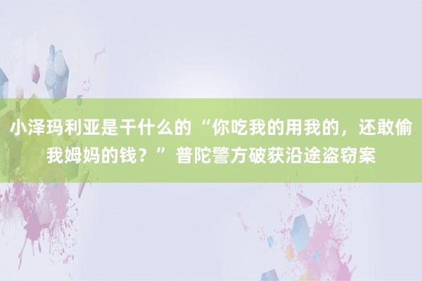 小泽玛利亚是干什么的 “你吃我的用我的，还敢偷我姆妈的钱？” 普陀警方破获沿途盗窃案