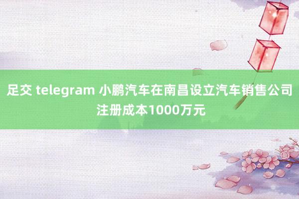 足交 telegram 小鹏汽车在南昌设立汽车销售公司 注册成本1000万元