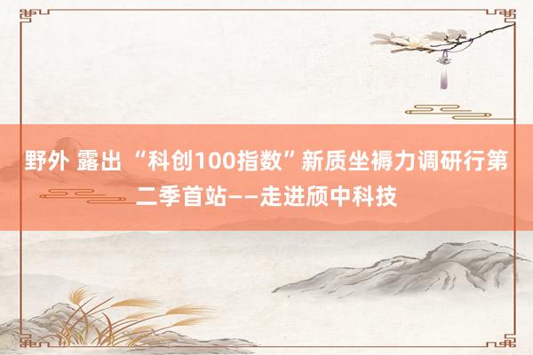 野外 露出 “科创100指数”新质坐褥力调研行第二季首站——走进颀中科技