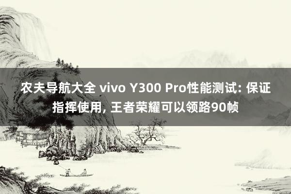 农夫导航大全 vivo Y300 Pro性能测试: 保证指挥使用， 王者荣耀可以领路90帧