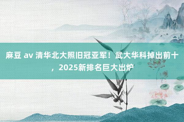 麻豆 av 清华北大照旧冠亚军！武大华科掉出前十，2025新排名巨大出炉