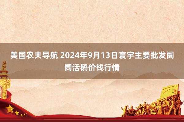 美国农夫导航 2024年9月13日寰宇主要批发阛阓活鹅价钱行情