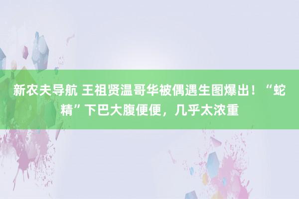 新农夫导航 王祖贤温哥华被偶遇生图爆出！“蛇精”下巴大腹便便，几乎太浓重