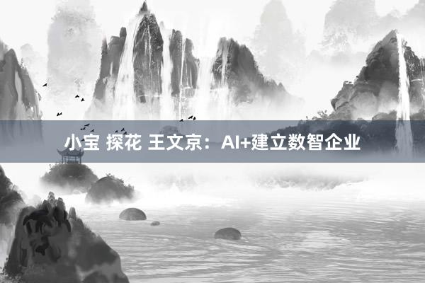 小宝 探花 王文京：AI+建立数智企业