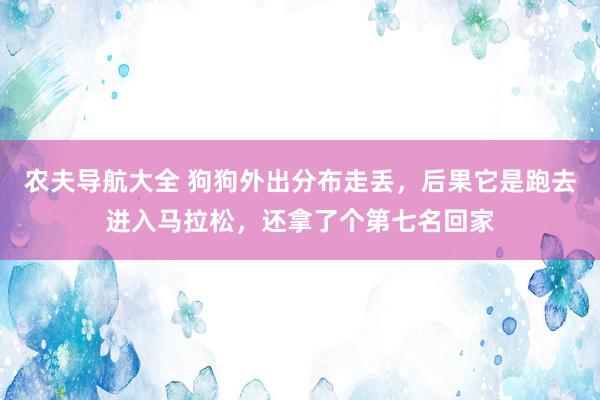 农夫导航大全 狗狗外出分布走丢，后果它是跑去进入马拉松，还拿了个第七名回家