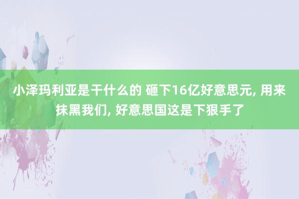 小泽玛利亚是干什么的 砸下16亿好意思元， 用来抹黑我们， 好意思国这是下狠手了