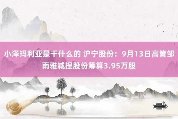 小泽玛利亚是干什么的 沪宁股份：9月13日高管邹雨雅减捏股份筹算3.95万股