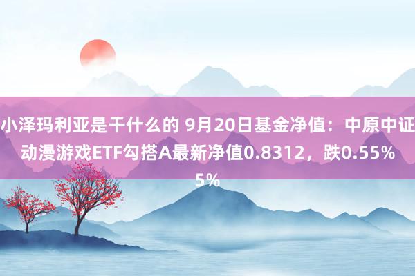 小泽玛利亚是干什么的 9月20日基金净值：中原中证动漫游戏ETF勾搭A最新净值0.8312，跌0.55%