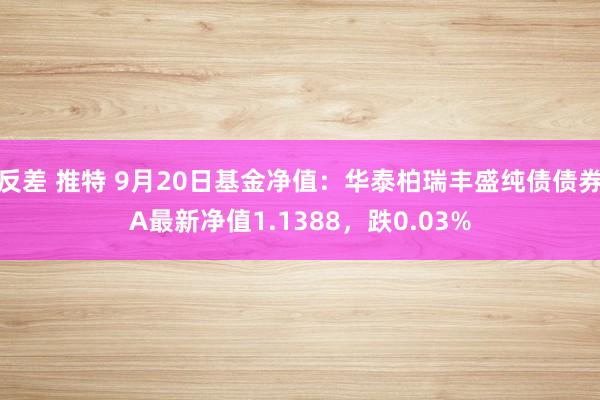 反差 推特 9月20日基金净值：华泰柏瑞丰盛纯债债券A最新净值1.1388，跌0.03%