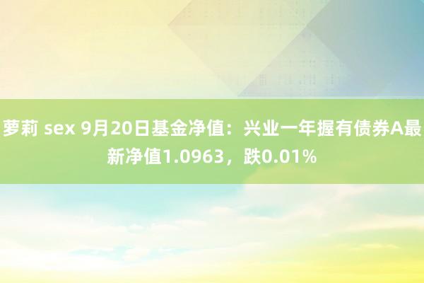 萝莉 sex 9月20日基金净值：兴业一年握有债券A最新净值1.0963，跌0.01%