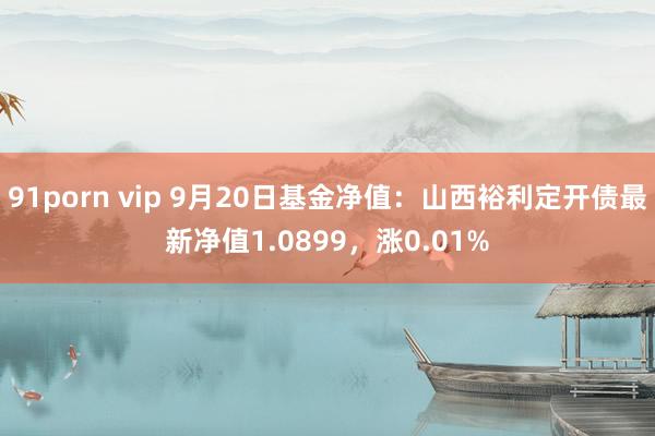 91porn vip 9月20日基金净值：山西裕利定开债最新净值1.0899，涨0.01%