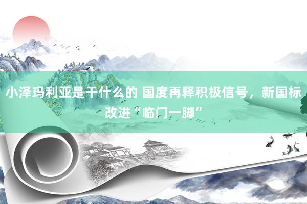 小泽玛利亚是干什么的 国度再释积极信号，新国标改进“临门一脚”