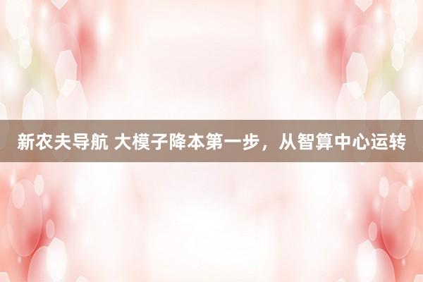 新农夫导航 大模子降本第一步，从智算中心运转