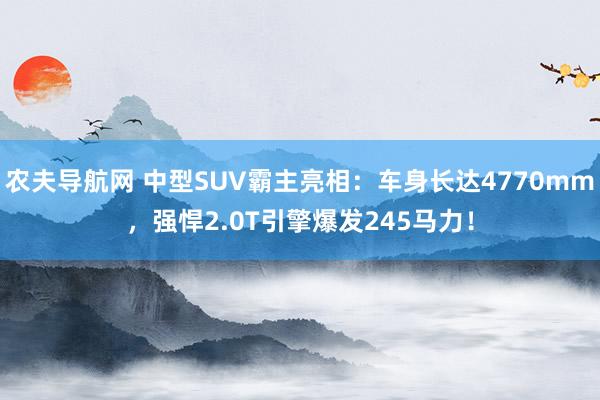 农夫导航网 中型SUV霸主亮相：车身长达4770mm，强悍2.0T引擎爆发245马力！