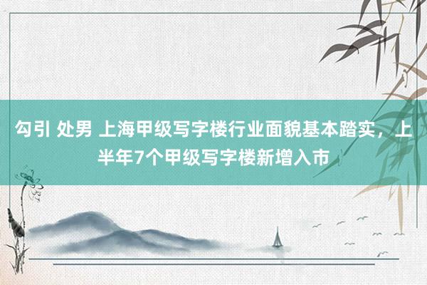 勾引 处男 上海甲级写字楼行业面貌基本踏实，上半年7个甲级写字楼新增入市