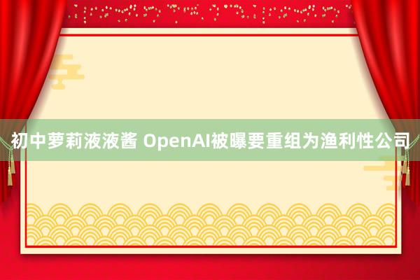 初中萝莉液液酱 OpenAI被曝要重组为渔利性公司