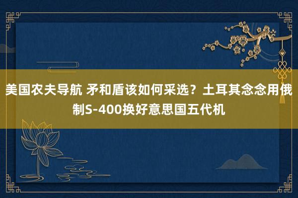 美国农夫导航 矛和盾该如何采选？土耳其念念用俄制S-400换好意思国五代机