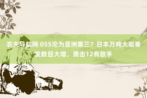 农夫导航网 055沦为亚洲第三？日本万吨大驱垂发数目大增，鹰击12有敌手