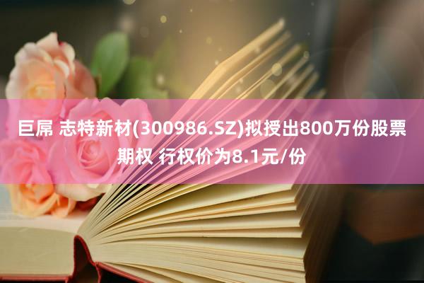 巨屌 志特新材(300986.SZ)拟授出800万份股票期权 行权价为8.1元/份