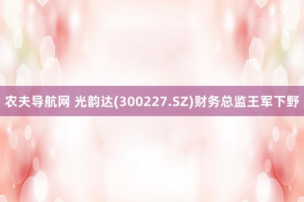 农夫导航网 光韵达(300227.SZ)财务总监王军下野