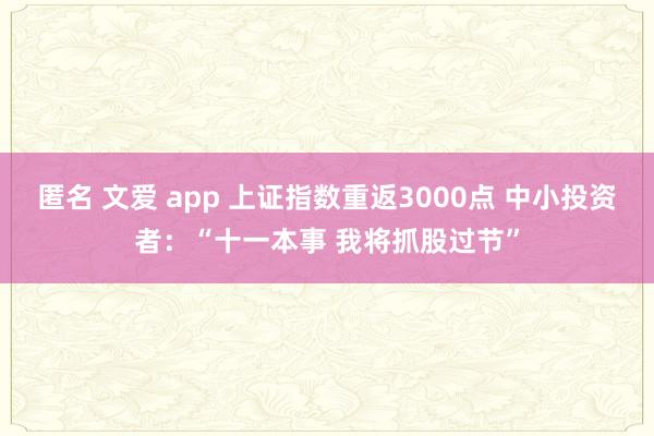 匿名 文爱 app 上证指数重返3000点 中小投资者：“十一本事 我将抓股过节”