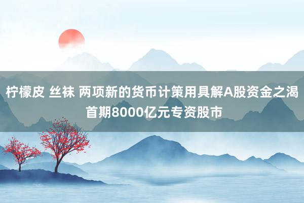 柠檬皮 丝袜 两项新的货币计策用具解A股资金之渴 首期8000亿元专资股市