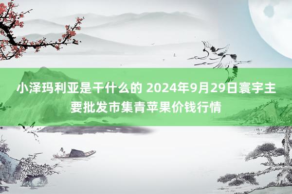 小泽玛利亚是干什么的 2024年9月29日寰宇主要批发市集青苹果价钱行情