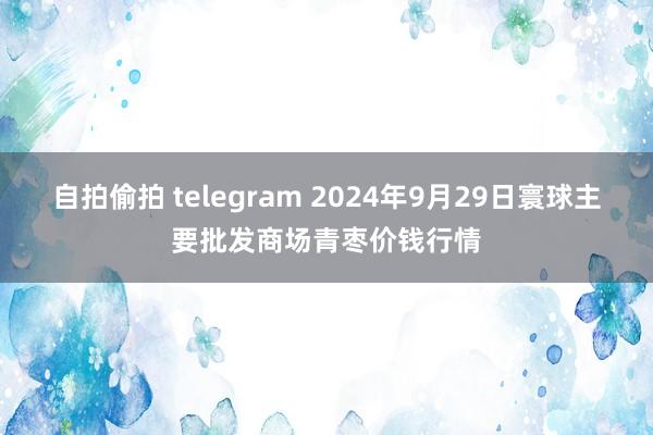 自拍偷拍 telegram 2024年9月29日寰球主要批发商场青枣价钱行情