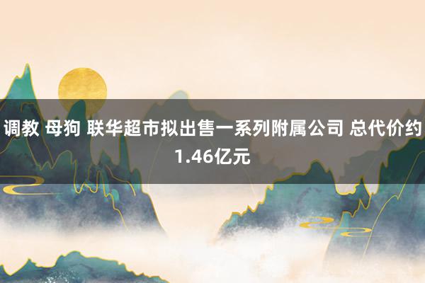 调教 母狗 联华超市拟出售一系列附属公司 总代价约1.46亿元