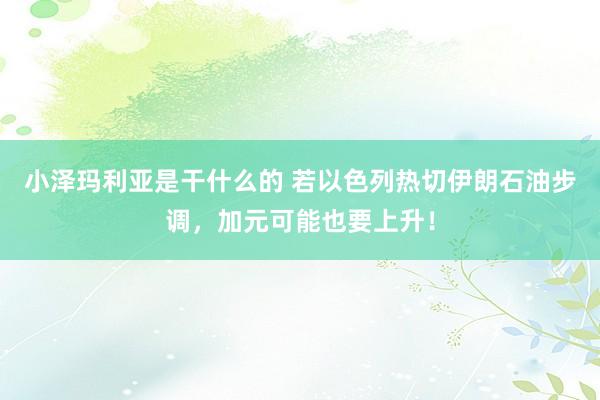 小泽玛利亚是干什么的 若以色列热切伊朗石油步调，加元可能也要上升！