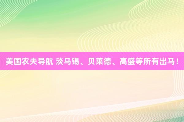 美国农夫导航 淡马锡、贝莱德、高盛等所有出马！