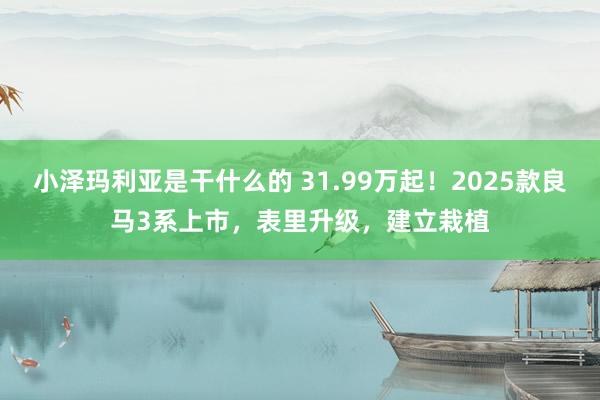 小泽玛利亚是干什么的 31.99万起！2025款良马3系上市，表里升级，建立栽植