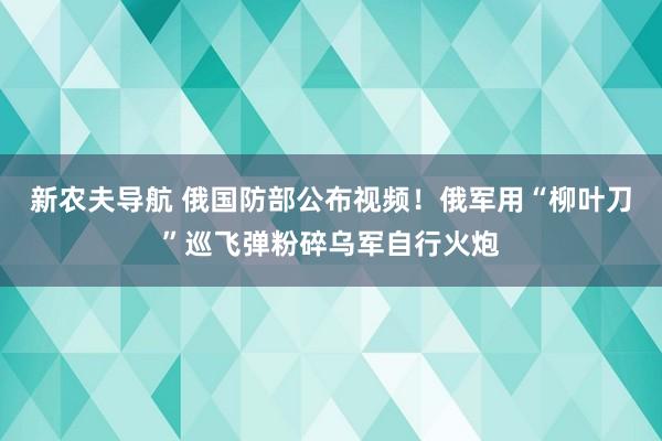 新农夫导航 俄国防部公布视频！俄军用“柳叶刀”巡飞弹粉碎乌军自行火炮