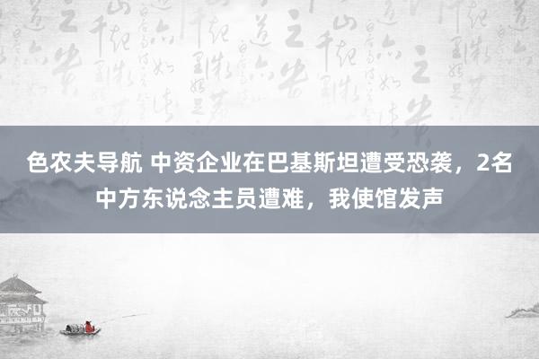 色农夫导航 中资企业在巴基斯坦遭受恐袭，2名中方东说念主员遭难，我使馆发声