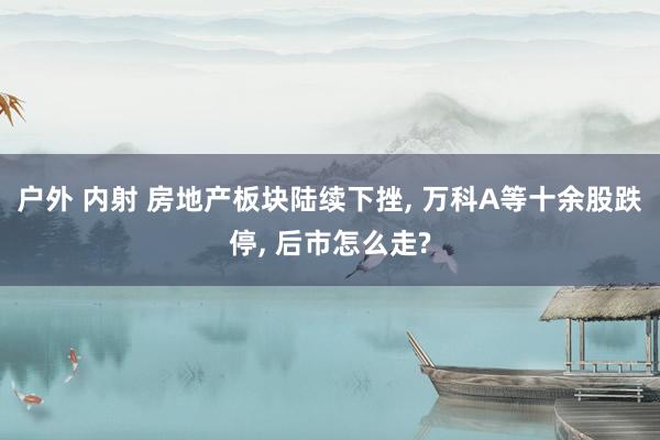 户外 内射 房地产板块陆续下挫， 万科A等十余股跌停， 后市怎么走?