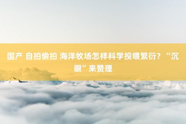 国产 自拍偷拍 海洋牧场怎样科学投喂繁衍？“沉眼”来赞理