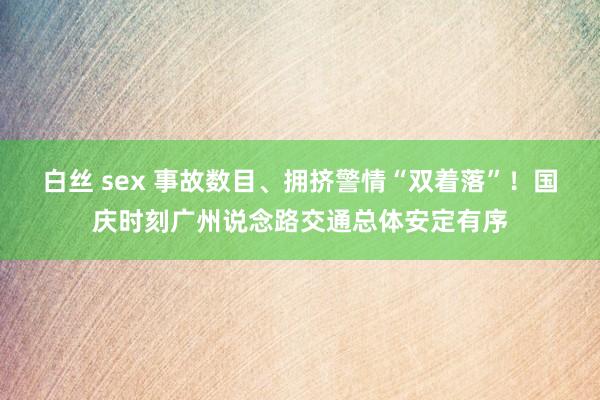 白丝 sex 事故数目、拥挤警情“双着落”！国庆时刻广州说念路交通总体安定有序