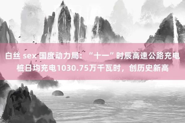 白丝 sex 国度动力局：“十一”时辰高速公路充电桩日均充电1030.75万千瓦时，创历史新高