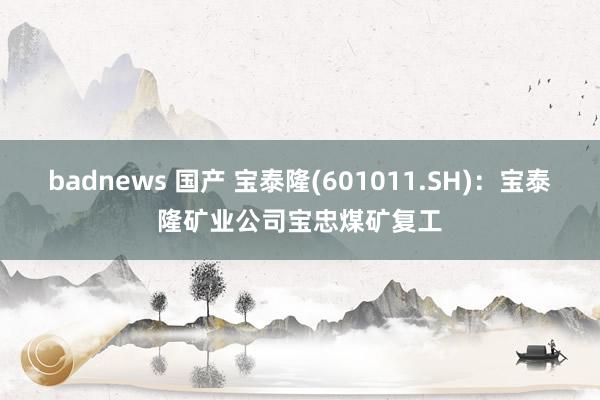 badnews 国产 宝泰隆(601011.SH)：宝泰隆矿业公司宝忠煤矿复工