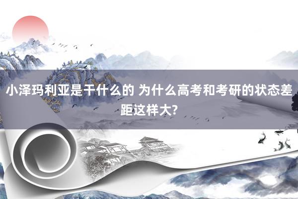 小泽玛利亚是干什么的 为什么高考和考研的状态差距这样大?