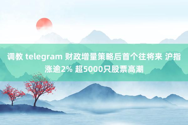 调教 telegram 财政增量策略后首个往将来 沪指涨逾2% 超5000只股票高潮