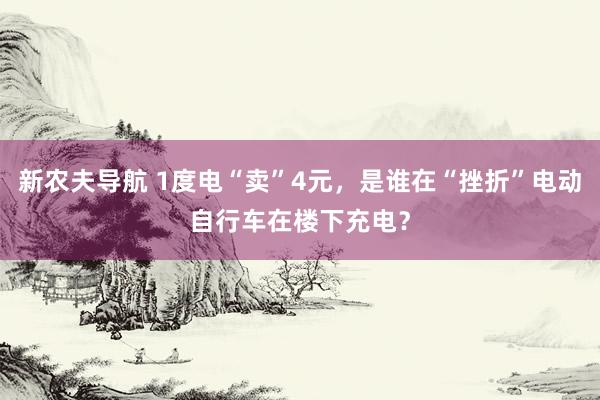 新农夫导航 1度电“卖”4元，是谁在“挫折”电动自行车在楼下充电？