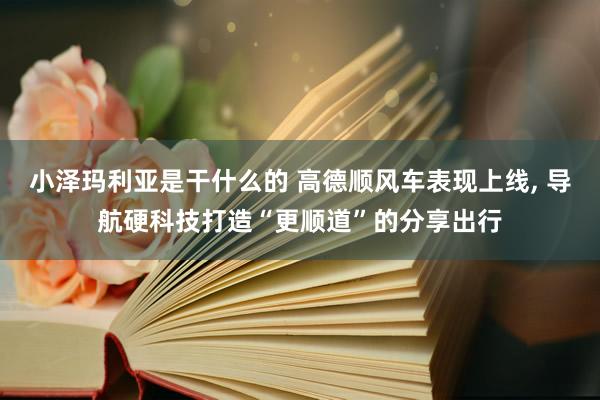 小泽玛利亚是干什么的 高德顺风车表现上线， 导航硬科技打造“更顺道”的分享出行