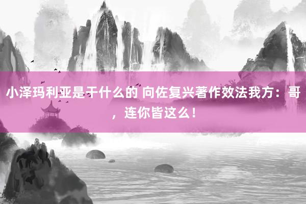 小泽玛利亚是干什么的 向佐复兴著作效法我方：哥，连你皆这么！